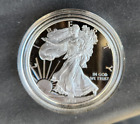 2021 w proof silver American eagle- type 1 in acrylic capsule
