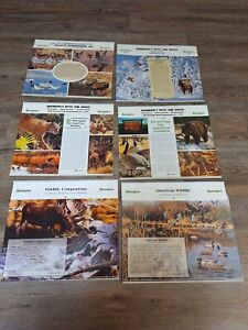6 Remington Calendars 1989-1992, 1998-1999