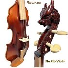 Unique design,4/4 Violin without rib, Carved dragon Scroll No rib Violin