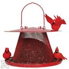 NO/NO (#C00322) Red Cardinal bird Feeder- 2.5 lb.