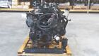 Engine 5.4L VIN 5 2008 FORD HARLEY F150 SALEEN SUPERCHARGED 137K MILES (For: Ford)