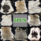5pcs Genuine Rabbit Skin Pelt Fur Hides Tanned DIY Craft Leather Skin Bunny Soft