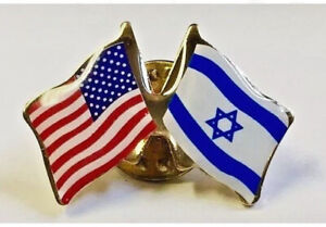 Support Israel USA Crossed Friendship Flag Lapel Pin US American Israeli Badge