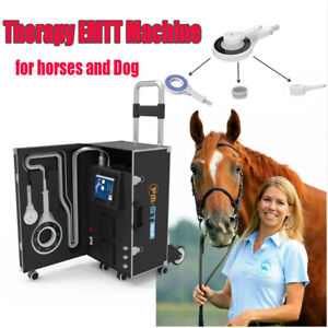 PEMF Physio Magneto VET Machine For Horse Treatment Therapies Rehabilitating