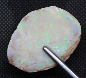 Australia Natural COOBER PEDY FOSSIL SHELL OPAL Rough 34.25cts
