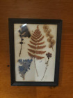 New ListingVintage Framed Dried Pressed Flowers Under Glass Wall Hanging Decor