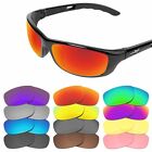 EYAR Polarized  Replacement Lenses for-Wiley X P-17 Sunglasses - Options