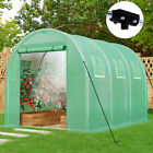 TAUS 10x6.5x6.5ft Greenhouse w/ Watering System Large Tunnel Greenhouses Kit
