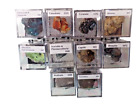Thumbnail Mineral Lot TNBN - 10 Premium Specimens - SEE OUR STORE!
