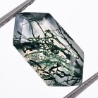 Loose Natural Moss Agate Elongated Hexagon Shape Gemstone For Jewelry 1.15 Ct.