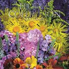 2024 Square Wall Calendar, Floral Collection, 16-Month Flower Theme 12x12