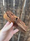 Stabilized Maple Burl, Duck Call, Knife Scales, Pen Blanks
