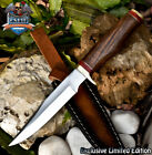 CSFIF Hot Item Hunting Skinner Knife AUS-8 Steel Walnut Wood Brass Guard Sports