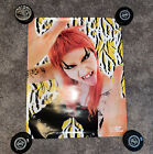 Good Dye Young Hair Product Poster Lot 3 Different Hayley Williams