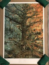 Krzysztof Domaradzki - Forests & Wetlands - The Silent Book of Nature - Giclee