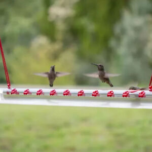 Bird Feeder Decorative Exquisite Long Tube Hummingbird Water Feeder Red