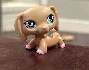 Littlest Pet Shop Authentic Tan & Pink Dachshund with Blue Eyes 2006 Rare
