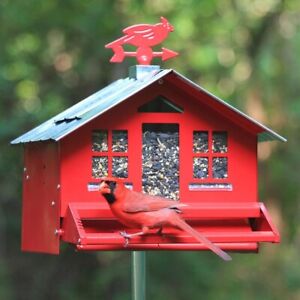 Perky Pet 338 Squirrel-Be-Gone Wild Bird 8 lb Metal Country House Bird Feeder