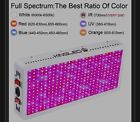 King Plus 4000W LED Grow Light Full Spectrum Greenhouse Double Switches