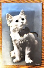 RPPC Long Haired White Cat RPPC Postcard With Green Glass Eyes and Novelty Mouse