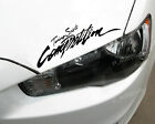 Competition Car Headlight Taillight Eyebrow Decal Sticker Vinyl Black 13.5
