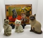 Vintage Cat Kitten Lovers Lot Figurine Photo Salt Shaker Crazy Cat Lady