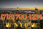 718 NYC Easy Phone Number 718-790/973/709-1234 UNIQUE NEAT VANITY New York city