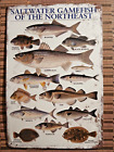 Tin/Metal Sign/Poster Salt Water Game Fish Of The North East
