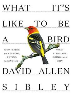 What It's Like to be a Bird (Sibley..., David Allen Sib