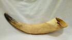 Natural Bull Horn 14.5 inches Hunting Southwest Decor
