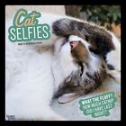 Browntrout,  Cat Selfies 2024 Wall Calendar