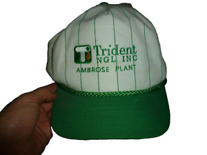 Vintage Trident Ambrose Plant San Sun Snapback Hat OS