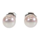 MIKIMOTO K18WG White Gold Pearl Earrings PE-2BU P7.0mm Akoya Pearl Women's TGIS