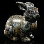 Rabbit Leopard Skin Stone Carved Natural Crystal Statue Healing 2