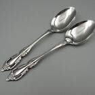 Oneida USA Stainless RAPHAEL Table / Serving Spoons - Set of Two - Used