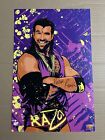 11x17 WWE Razor Ramon Scott Hall Signed Autograph Art Work Highspots COA