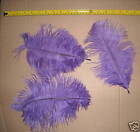 NEW LOT OF 10 OSTRICH FEATHERS COLORS CRAFT FUN Costuming