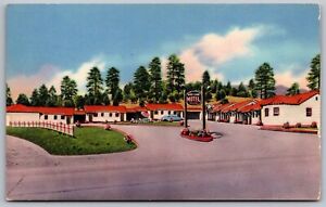 Sky Line Motel Flagstaff Arizona Street View Old Car Forest Vintage UNP Postcard