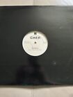Cher Believe Vinyl 12inch double 12 pack promo extremely rare