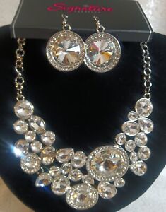 Paparazzi Jewelry The Danielle Zi Necklace Earrings Silver Set Collection 2021