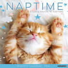 Naptime (Cats) 2024 12