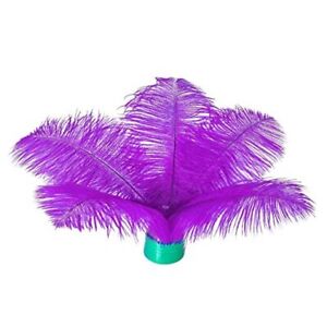20 pcs Natural Ostrich Feathers 6-8 inch(15-20 cm) Bulk for 6-8