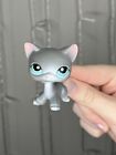 Littlest Pet Shop #126 Gray Short Hair Cat Aqua Blue Eyes Authentic