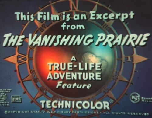 16mm IB Tech Film: Walt Disney production 'The Vanishing Prairie' (Excerpt)
