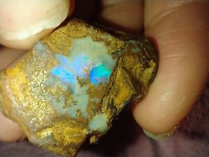 42 Tcw Rough Australian Boulder Multi Color Opal Water