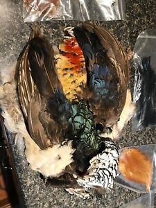 Rooster Necks, Pheasant Skins, Asst. Feathers for Fly Tying. Free Shipping.
