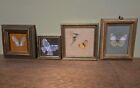 Vintage Framed 3- Real Mounted Butterfly Wings & 1- Framed Fabric Lace Butterfly