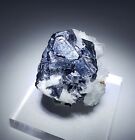 ***EX.NELSON-Sparkling Galena w/ Barite crystals, mine Peru***