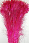 100 Pcs BLEACHED PEACOCK TAILS Feathers 35-40