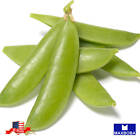 Pea  320 Fresh Seeds Sugar Ann Premium Non-GMO Heirloom Garden Vegetable